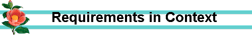     Requirements in Context