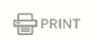 print lesson brief icon.